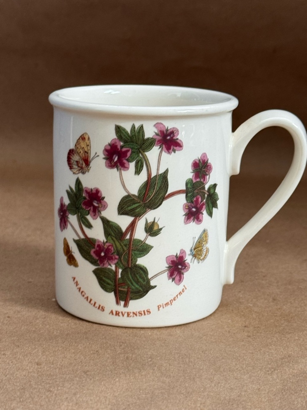 Portmeirion Botanic Garden Pimpernel Ceramic Mug. 10 fl oz